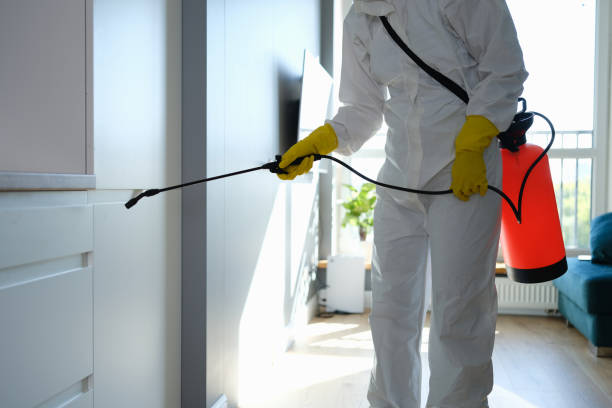 Best Fast Mold Removal  in Ocean Acres, NJ