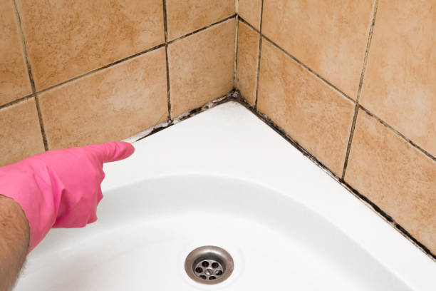 Best Commercial Mold Removal  in Ocean Acres, NJ